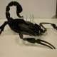 Deko Skorpion 3D-Steckmodell aus...